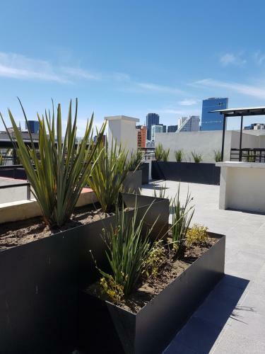 Mexico City Apartment Near Reforma