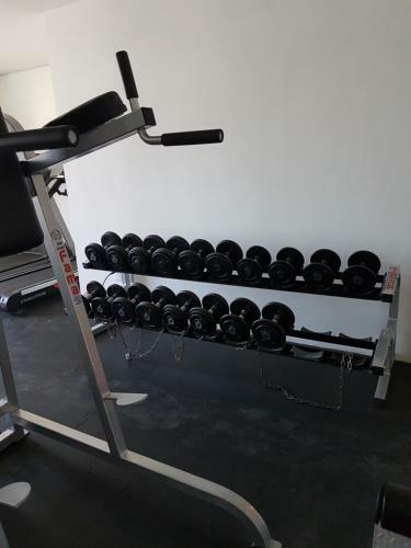 Mexico City Apartment Near Reforma