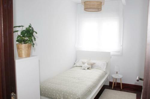 Apartamento Jovellanos Playa