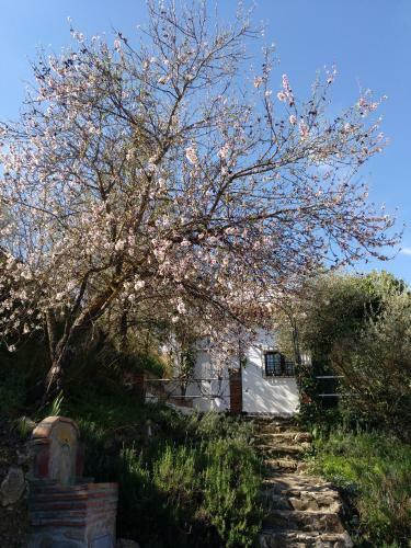 Agroturismo Casa La Liebrecilla