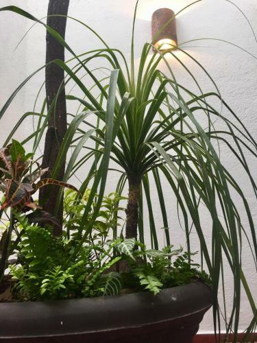 Bed & Breakfast Residence Las Trojes Cdmx