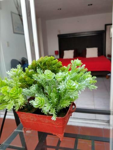 Bed & Breakfast Residence Las Trojes Cdmx