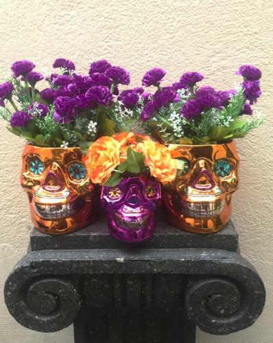 Bed & Breakfast Residence Las Trojes Cdmx