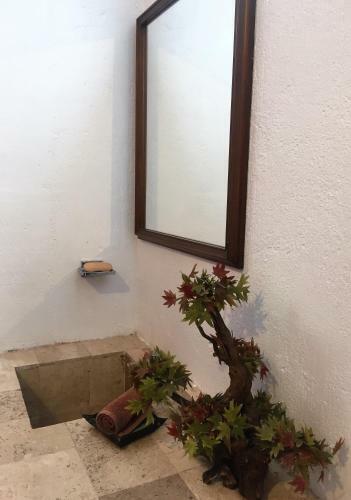 Bed & Breakfast Residence Las Trojes Cdmx