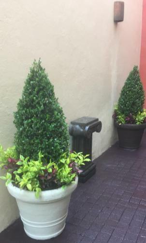 Bed & Breakfast Residence Las Trojes Cdmx