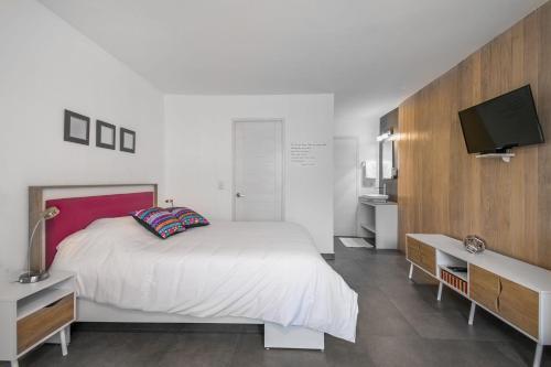 Apartamento Juub Colorful, Studio In New Polanco District (R1)