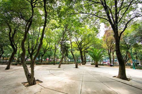 Sophisticated Park Venue Apartment Near Polanco