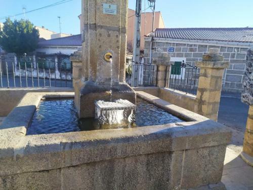 Don Mauricio Y Periquines