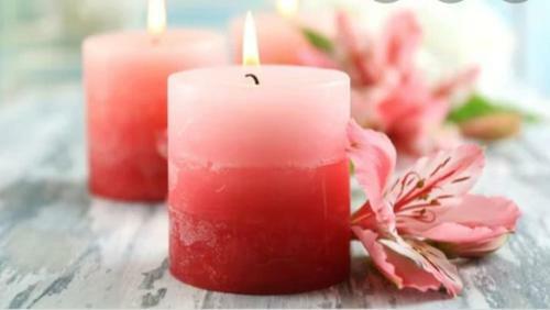 Don Mauricio Y Periquines