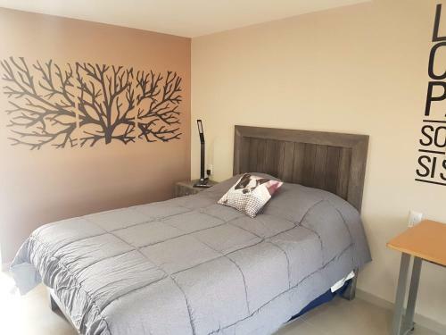 Apartamento S08 de Casona Tres Suites Premium Increibles Itesm Cem S08