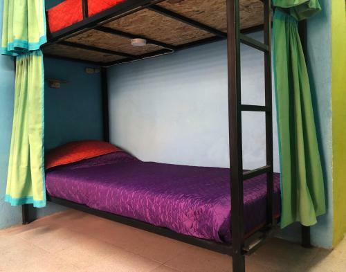 Hostal Moma Mexhostel