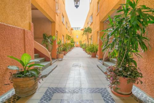 Apartamento Welcome To Beautiful Condesa!