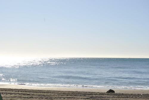 Apartamento Frente Al Mar,primera Linea De Playa