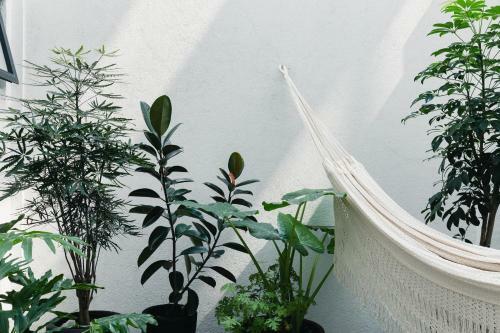 Apartamento Cozy & Hip Roma Apt With 2 Private Terraces!