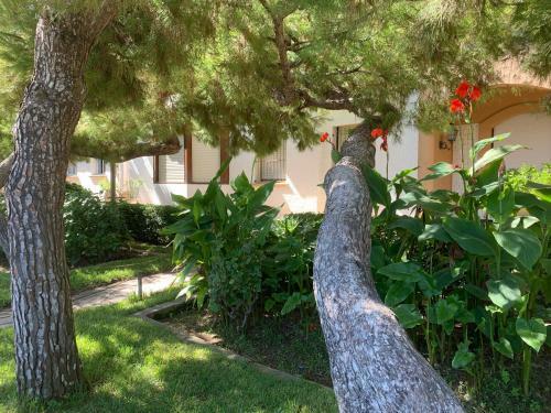 Apartamento Roc De San Cayetano 14b