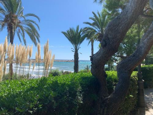 Apartamento Roc De San Cayetano 14b