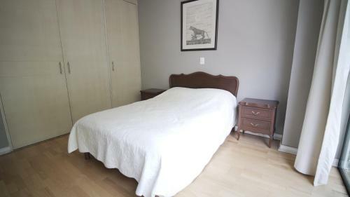 Apartamento 2 Bedroom Penthouse Polanco
