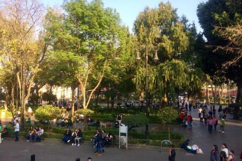 Apartamento Iconico Loft En El Corazon De Coyoacan