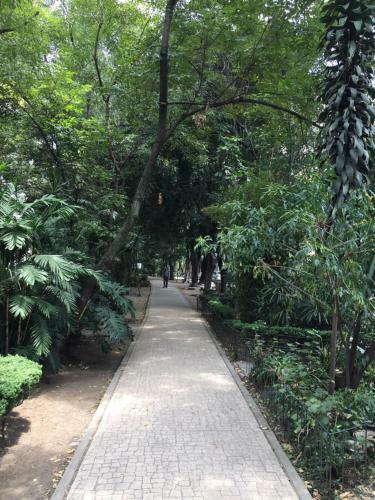 Condesa Df Amazing And Luxury Apartments