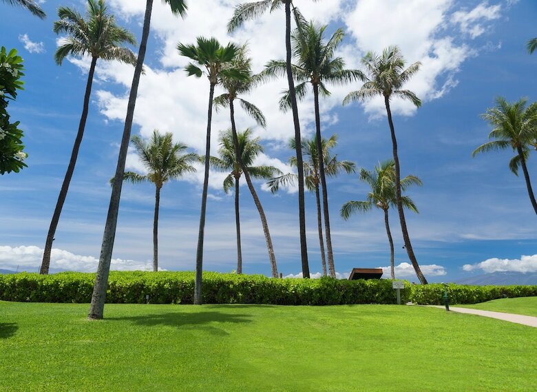 Kaanapali Beach Hotel