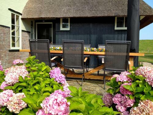 Bed & Breakfast Villa Nieuwland
