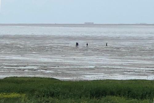 Bed & Breakfast Het Huis Van De Wadden