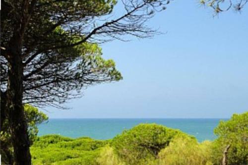 Acogedor Apartamento A 100 M. de Pinares Y Playa