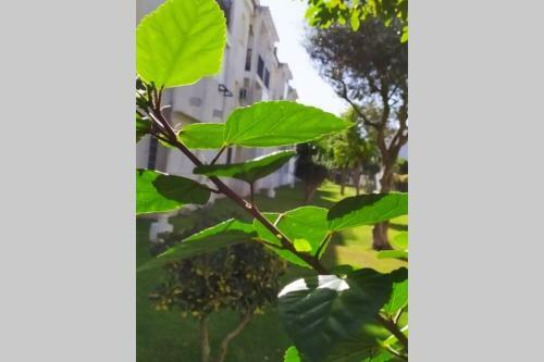 Acogedor Apartamento A 100 M. de Pinares Y Playa