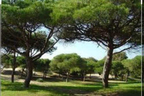 Acogedor Apartamento A 100 M. de Pinares Y Playa