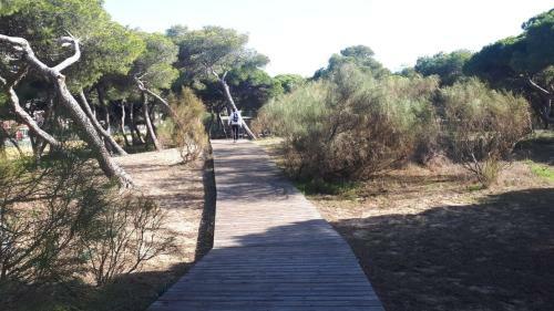 Acogedor Apartamento A 100 M. de Pinares Y Playa