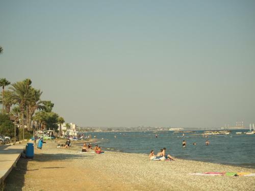 Hostal Moon-light Studio