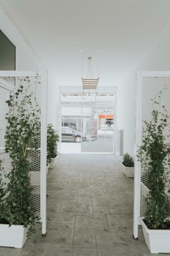 Apartamento Prima Gardens City Studios