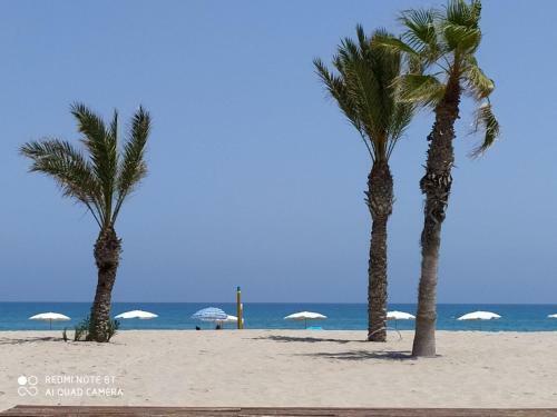 Habitaci�n Doble Con Ba�o Privado, 4 L�nea de Playa