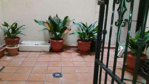 Apartamento Sol Todo El A�o En Roquetas De Mar