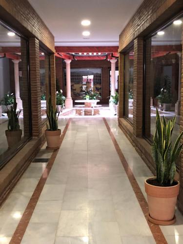 Apartamentos Nueva 13