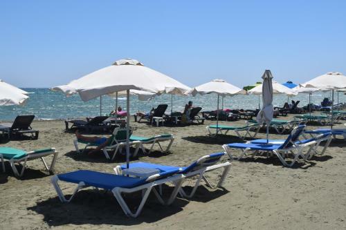 Mersinera Paradise Garden 2