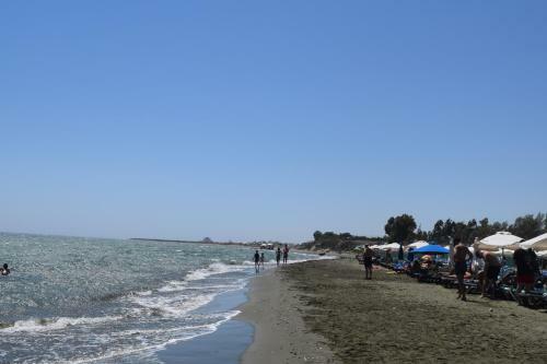 Mersinera Paradise Garden 2