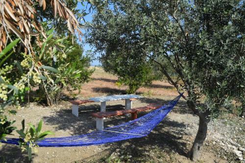 Mersinera Paradise Garden 2