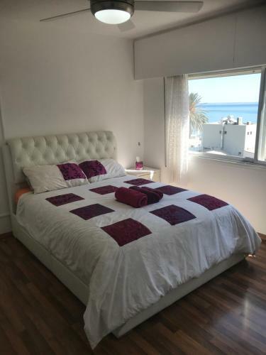 Blue Lagoon One Bedroom Apartments