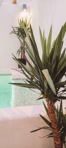 Ronda City Wall Apartments With Private Pool