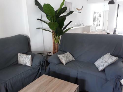 Lola's Apartment