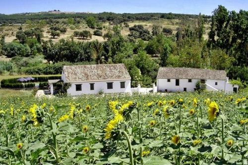 Fincaretama Farmhouse Apartment Ronda