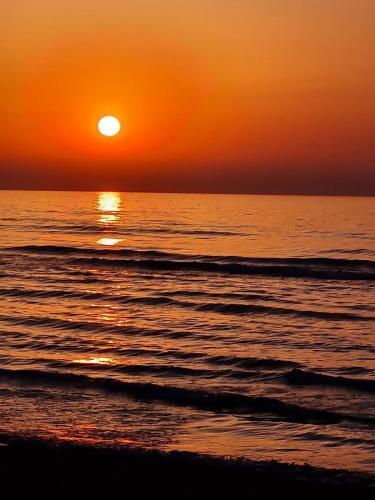 Alex Beach Apartment 32