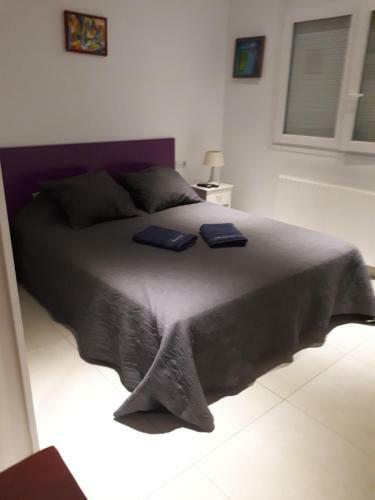 Bed & Breakfast Magnifique Villa
