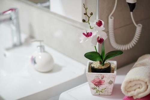 Lovely House Apartment