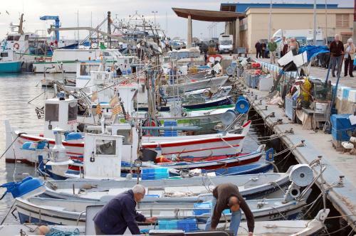 Apartamento 1202 Neptuno