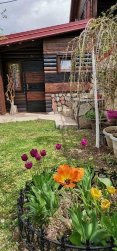 Apartamento Bungalow 3 With 1 Room