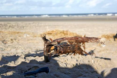 Sandton Paal 8 Hotel Aan Zee