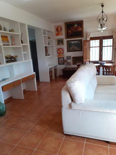 San Jos�