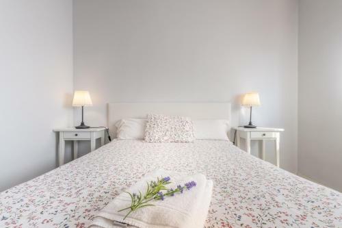 Apartamento Pirineo Aragon�s